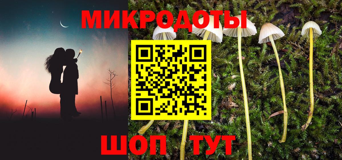 Галлюциногенные грибы Cubensis Шахты