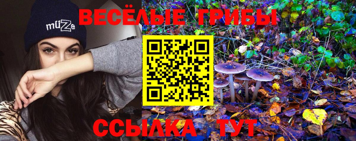 цены наркотик  Псилоцибиновые грибы MAGIC MUSHROOMS  Вход с VPN  Шахты  Псилоцибиновые грибы GOLDEN TEACHER 